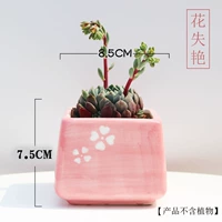 Цветы теряют свою красоту B