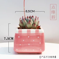 Точка малиновая губа А