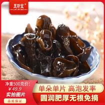 Changbai Mountain (northeast black fungus 500 grams net weight hypertrophic no root Basswood autumn fungus) thick meat taste good