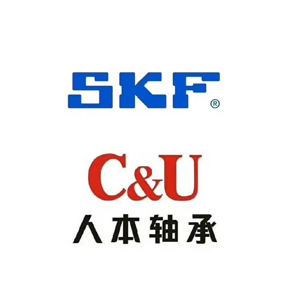 常州精致SKF人本轴承