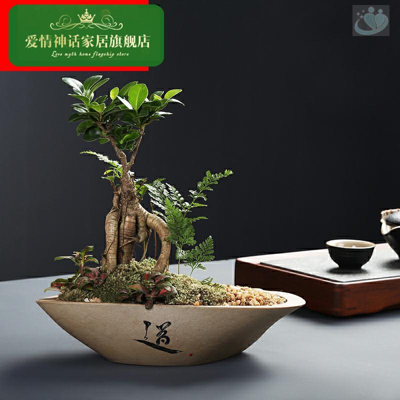 Creative imitation stone flower pot ceramic meaty plant small green plant pot desktop boutique miniascape a clearance sale