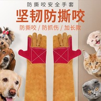 Pet anti-dog bite artifact dog training gloves anti-cat scratch nail hamster anti-scratch thick long anti-bite