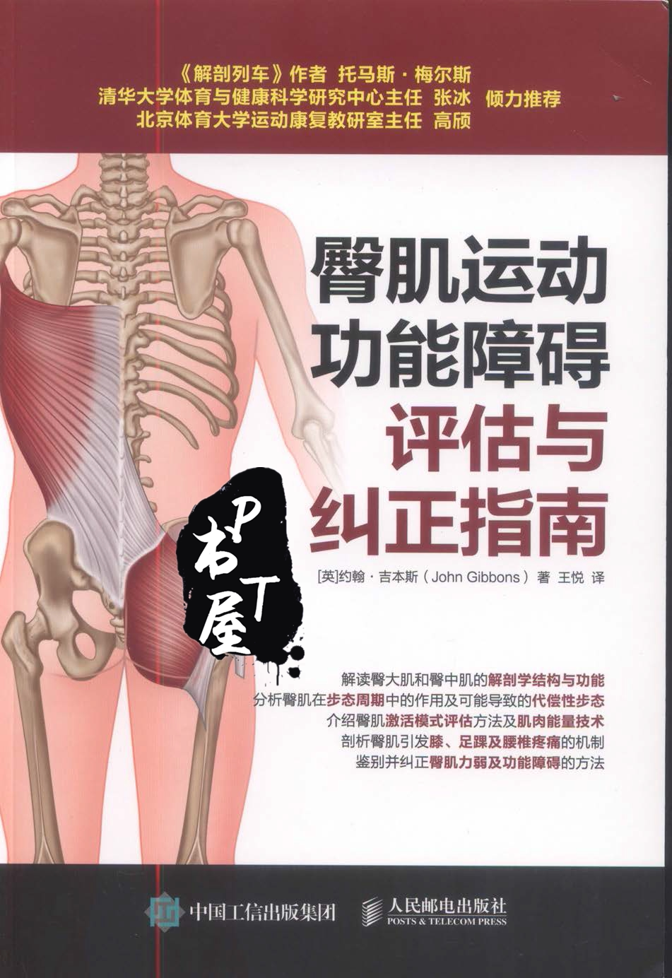 臀肌运动功能障碍-评估与纠正指南 Book Cover