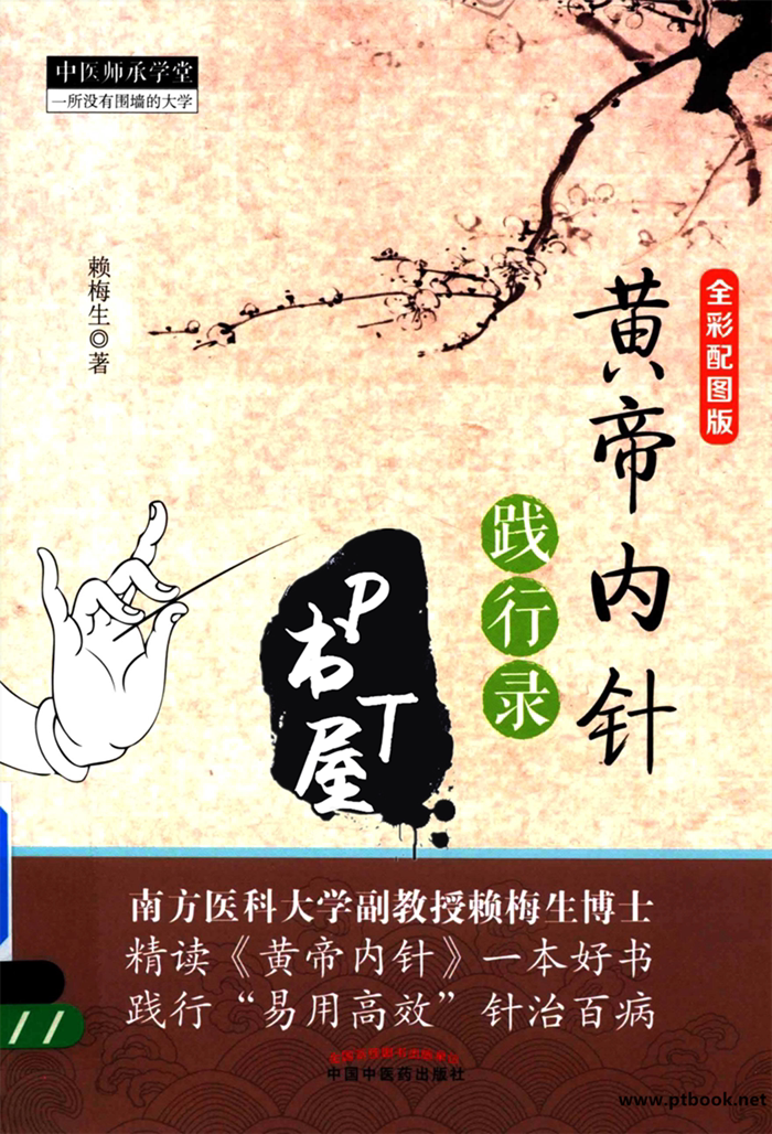 黄帝内针践行录 Book Cover