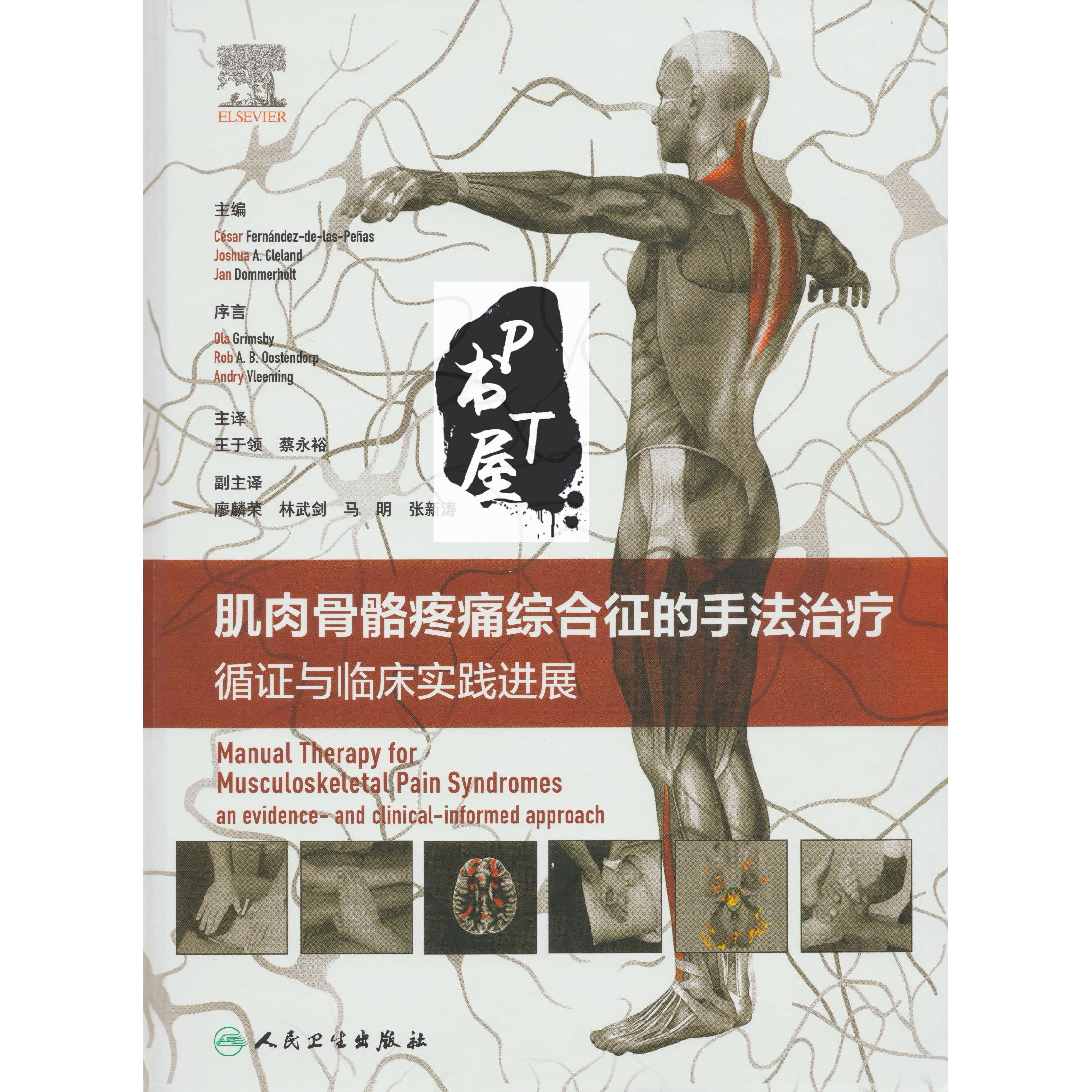 肌肉骨骼疼痛综合征的手法治疗 循证与临床实践进展 Book Cover