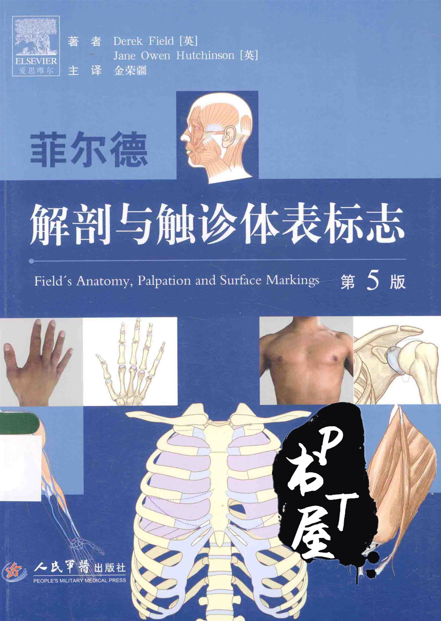 菲尔德解剖与触诊体表标志 Book Cover