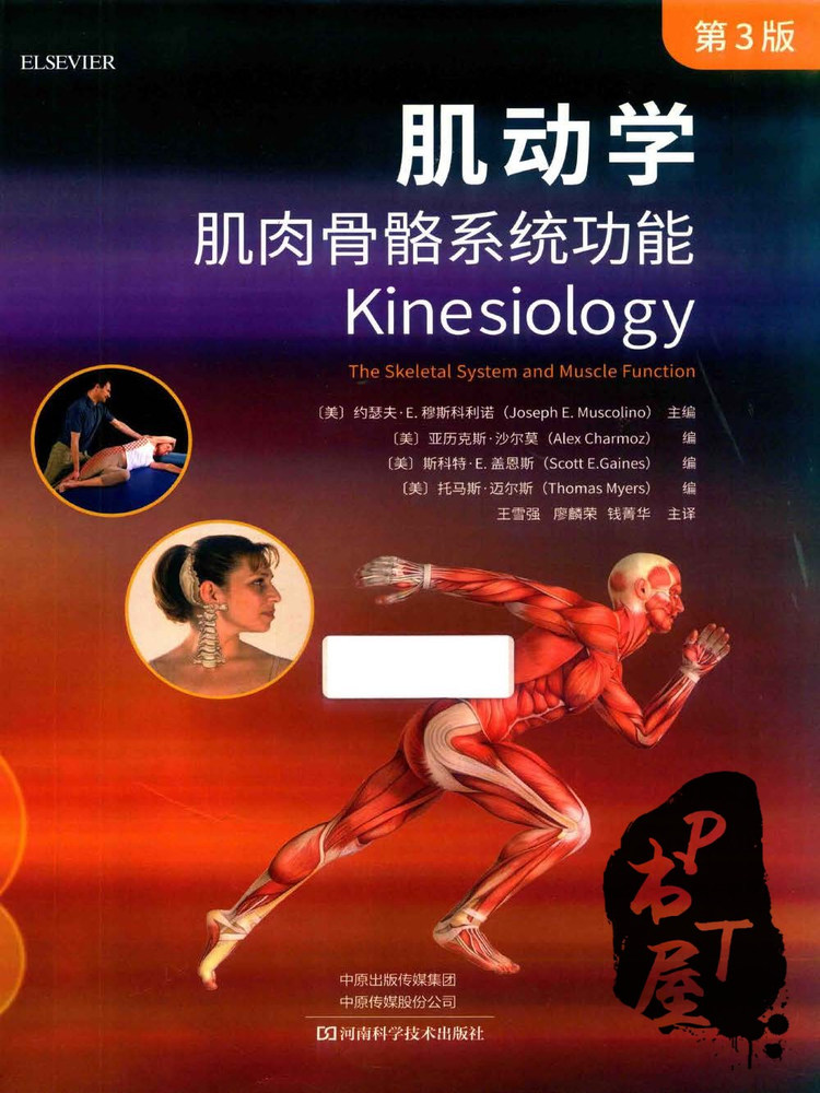 肌动学 肌肉骨骼系统功能 第3版 Book Cover
