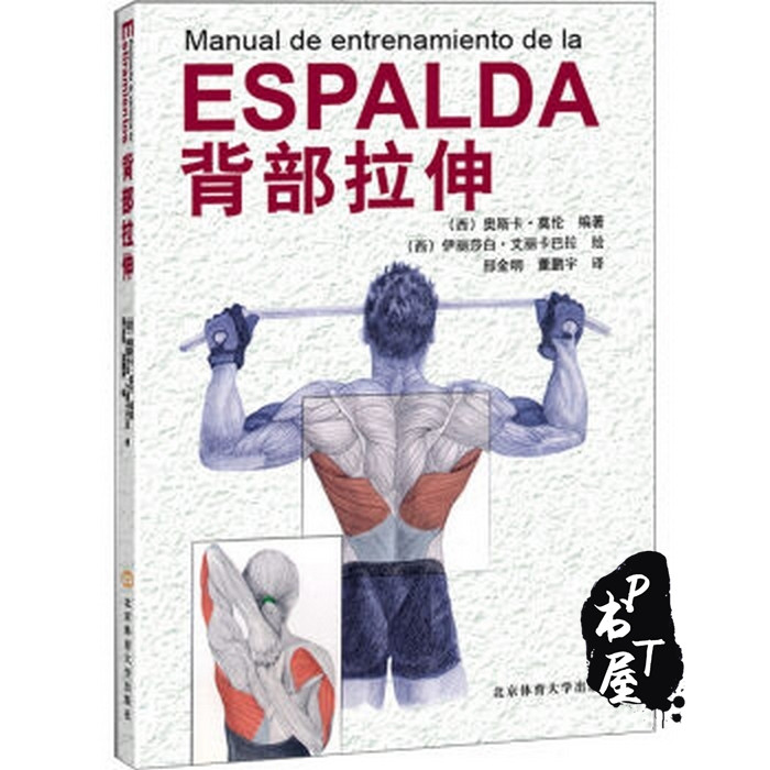 背部拉伸 人体解剖 肌肉锻炼 拉伸练习 Book Cover
