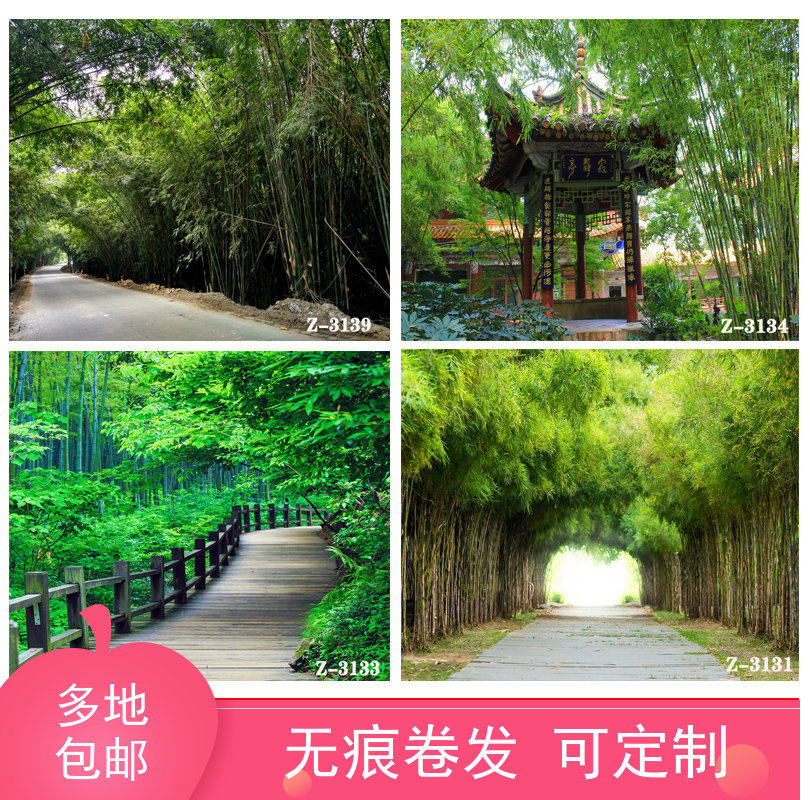 Rural bamboo forest scenery field old house main live room background cloth Kuaishou vibrato 3D background