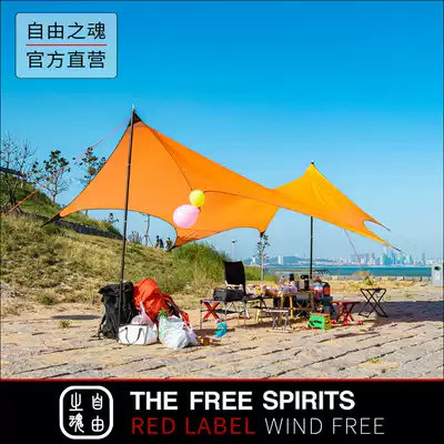 Special offer Soul of freedom TFS Fengyi sky curtain double-sided silicon coated ultra-light rainproof and sunshade outdoor camping sky curtain
