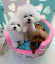 () Aiwan Sofa Nest Pet Wooden Cat Dog Kennel Full-Removable Pet Bed Thickened Stool Chair