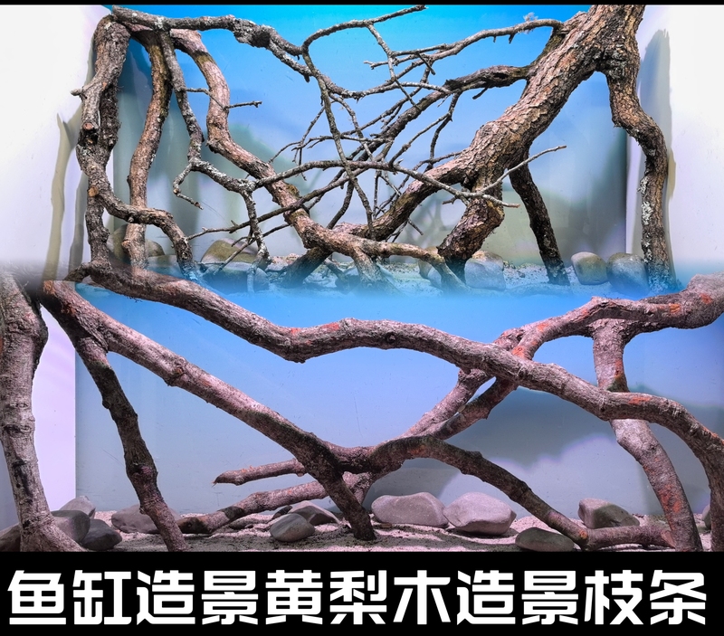 Yellow Pear Wood Branches, South American Tank Landscaping Driftwood, Yellow Oak Wood, Natural Tank Branches, Yellow Pear Branches for Fish Tank Landscaping Yellow Pear Wood Branches, South American Tank Landscaping Driftwood, Yellow Oak Wood, Natural Tank Branches, Yellow Pear Branches for Fish Tank Landscaping