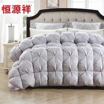 Hengyuanxiang home textile winter quilt duvet quilt core thickened autumn and winter bedding cover