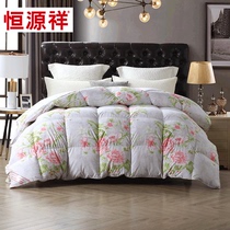 Hengyuanxiang home textile 95 white goose down quilt core winter warm quilt thick duvet autumn and winter does not press quilt