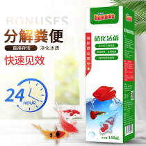 Bonaz aquarium tropical fish water mold skin mold white water treatment healthy fish farming