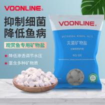 Wauverang koi parrot arowana Three Lakes Aquarium aquarium aquarium sterilization salt water