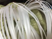 4mm fish bone skirt brace glue bone cap along cushion bag wedding dress underwear support bone hard nylon wide plastic 90 meters