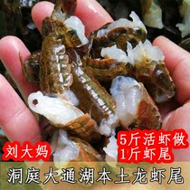 Liu Great Mother Cave Court Datong Lake Native Green Shrimp Fresh Lobster Tail Frozen 500g share 2 catty