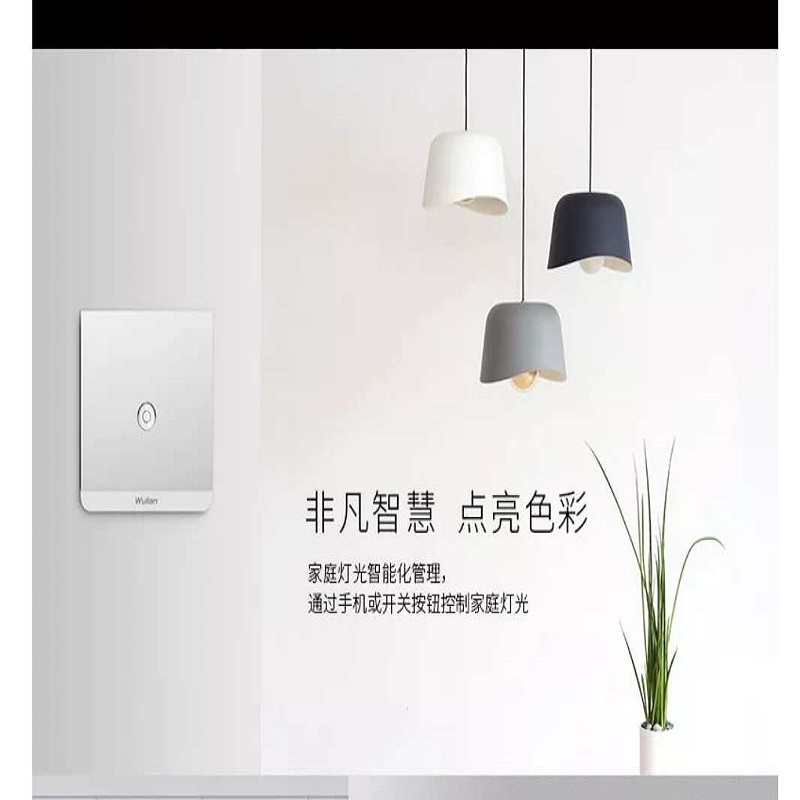 Wulian Zhishang metal one way switch
