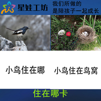 Where to live in training Kaaba Training card Animals and places pairing kindergarten Early teaching Cognitive Training Card Flashcards