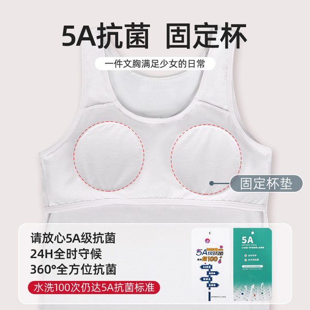 Junior High School Girls Anti-Bump Intimates Girls Development Second Stage Vest Short Style 12-14 Years Old Girls Bra