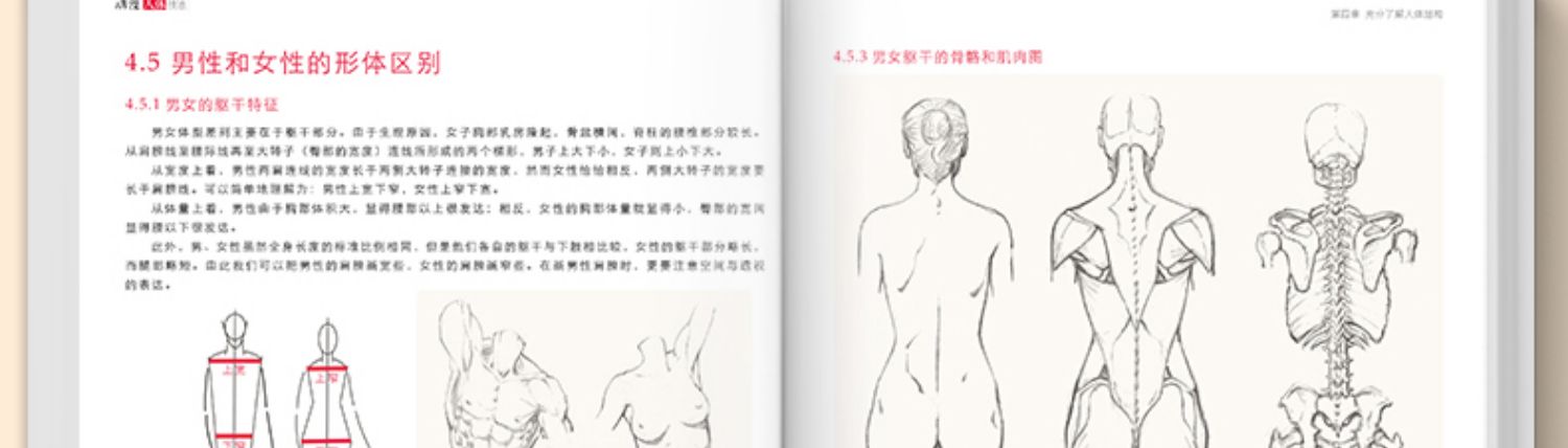 动漫人体技法 手绘游戏角色动作设计设定教程书籍插画人物结构造型绘画零基础入门自学教材临摹艺术册集古风马克笔上色杨建飞