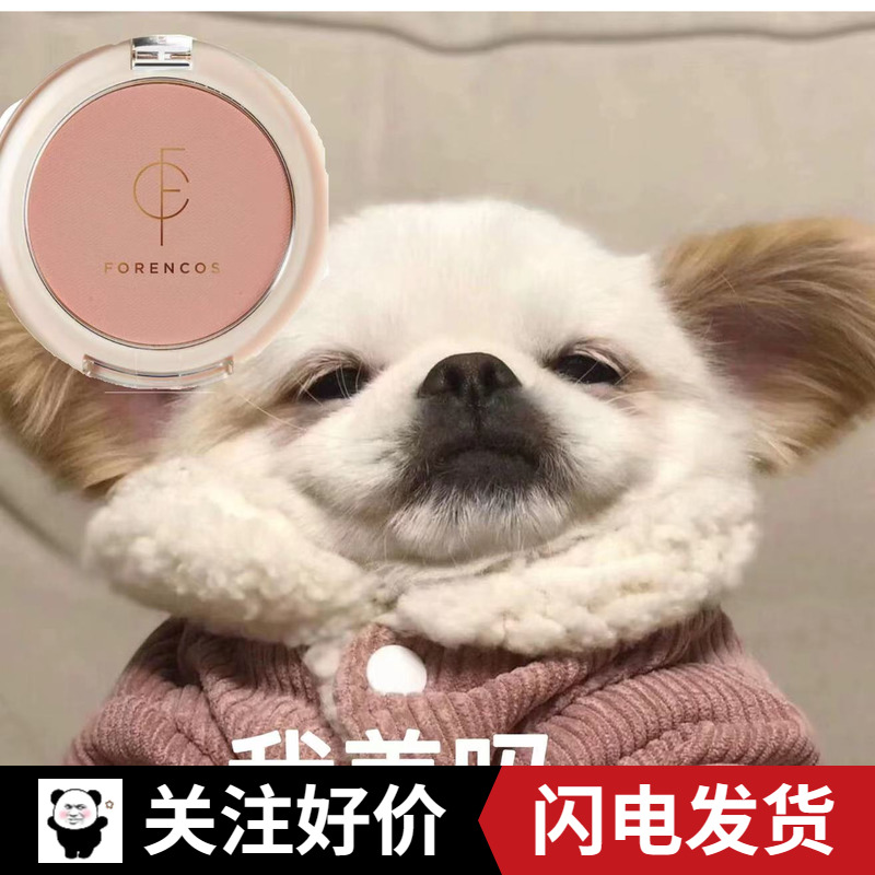 Send mushroom brush foreencos monochrome blush naturally white tea artoin color soft sister niche