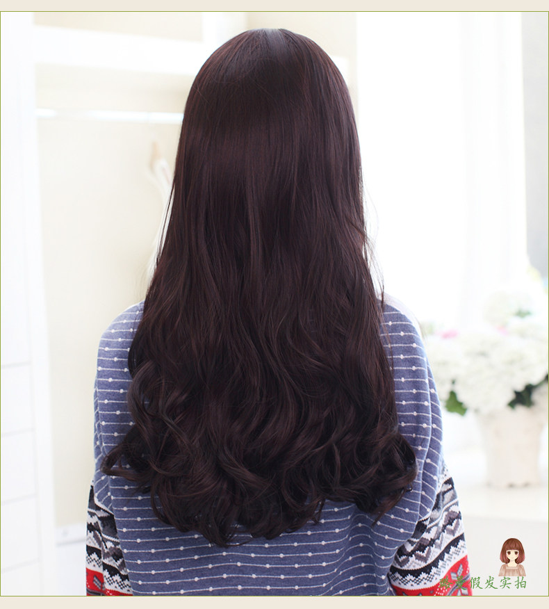 Perruque Les cheveux longs - Ref 2613397 Image 27