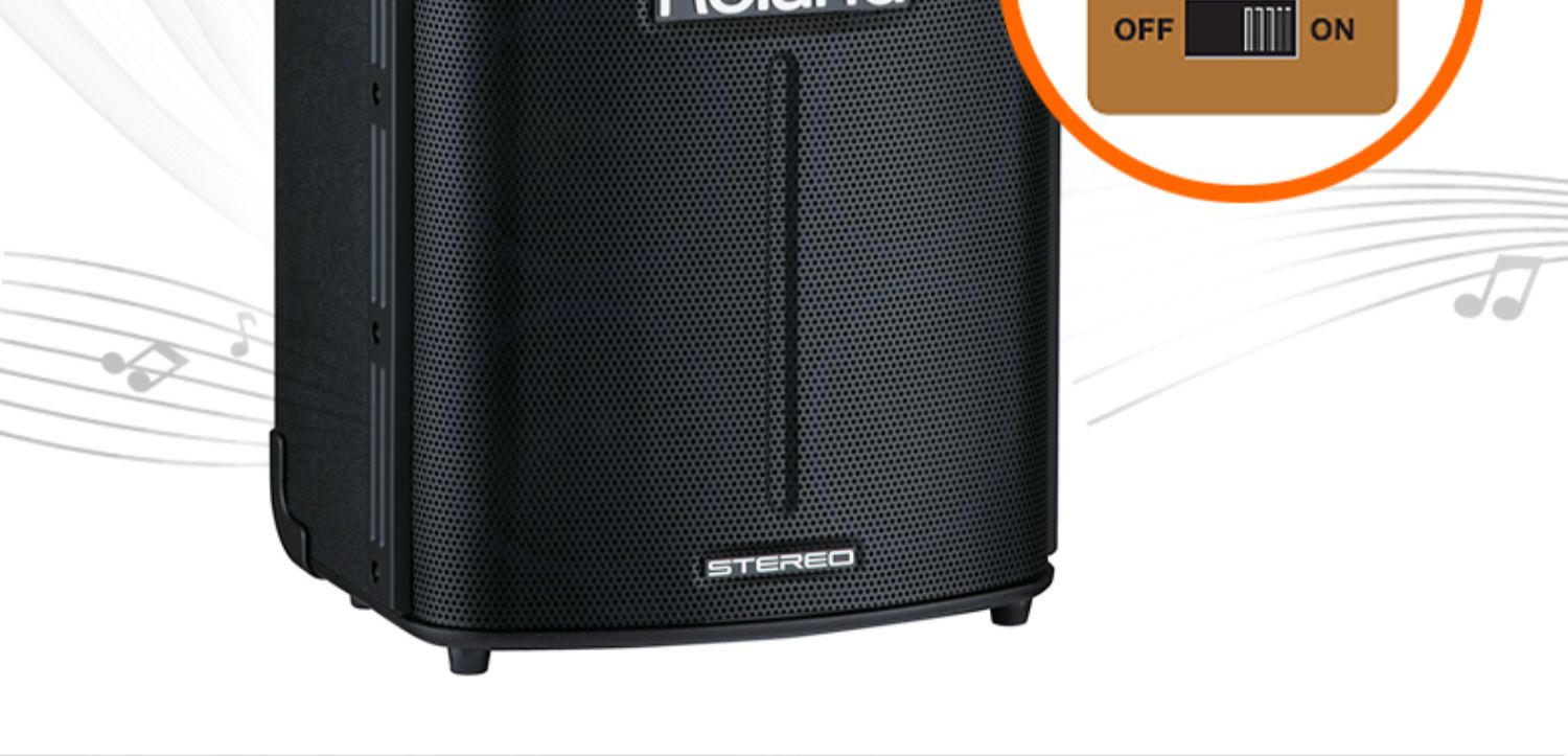 Roland Roland BA-330 BA330 loa stereo đa chức năng bàn phím đàn guitar điện hộp đàn piano cầm tay - Loa loa bose 301 seri 3