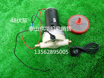 Agricultural electric 12V 48V high pressure car wash medicine pump intelligent with pressure switch pump sprayer Motor Motor