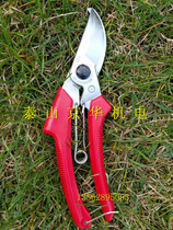 Japan imported ARS Alice 120 fruit pruning hand scissors branch cutting tree knife rough shears