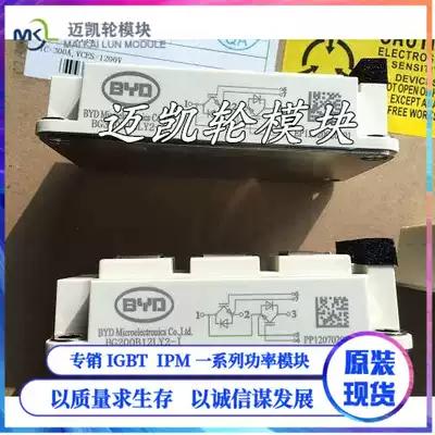 BYD BYD New BG400B12UY2-I BG450B12LY2-I BG300B12LY2-I 200