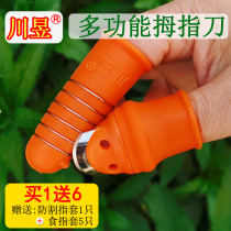 Sichuan Yu Picking Vegetable Thumb Knife Pepper Divine Machine Acier inoxydable Exfoliant Agricultural Exfoliant Picking Tea Water Fruit And Vegetable Protective Hand Nail Sheath