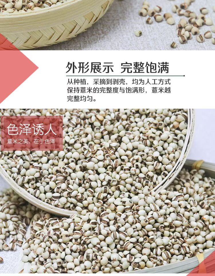 【助农】熟薏米茶500g