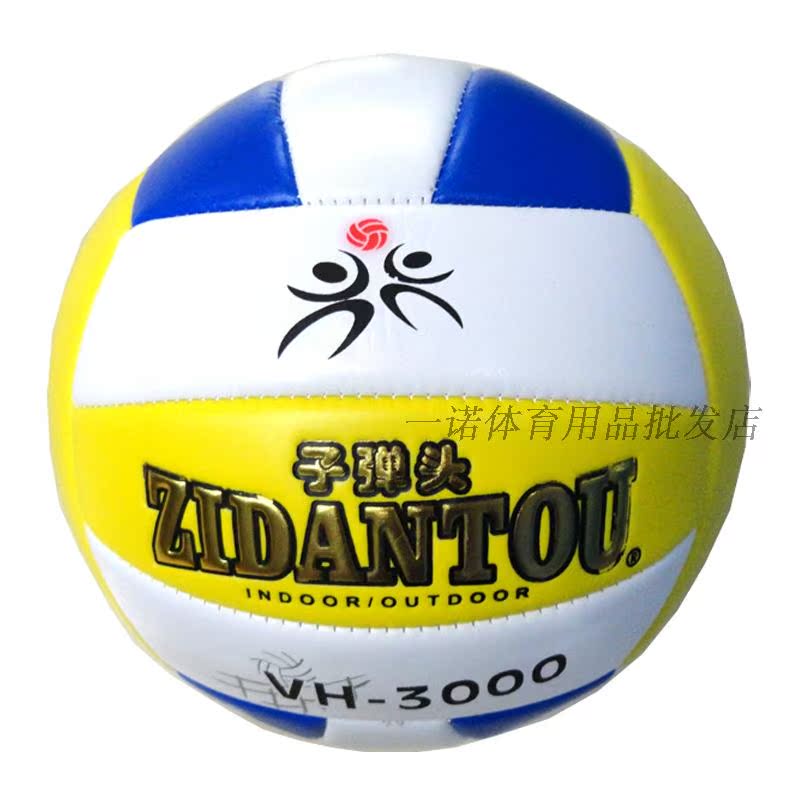 Ballon de volley - Ref 2012906 Image 6