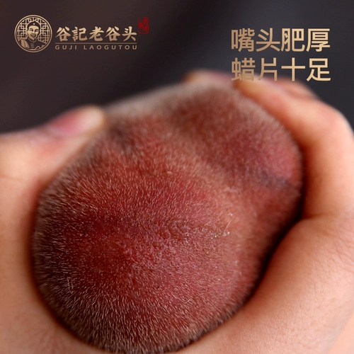 老谷头 Большой бархатный рога свежего оленя рога 1498 грамм оленя.