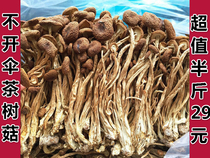New products specialty tea tree mushroom tea mushroom farm home-grown natural dry goods cover tender handle crisp 250g