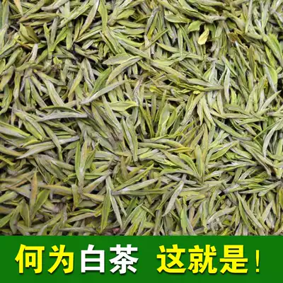 2021 new tea Authentic Anji white tea Mingqian head tea Premium rare white tea tea Green tea canned 50 grams