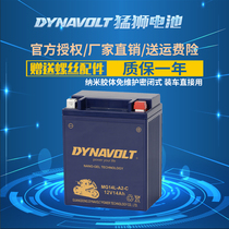 Lion nano colloid motorcycle battery YB14L-BS12V14AH Jialing JH600 Honda CB750 250
