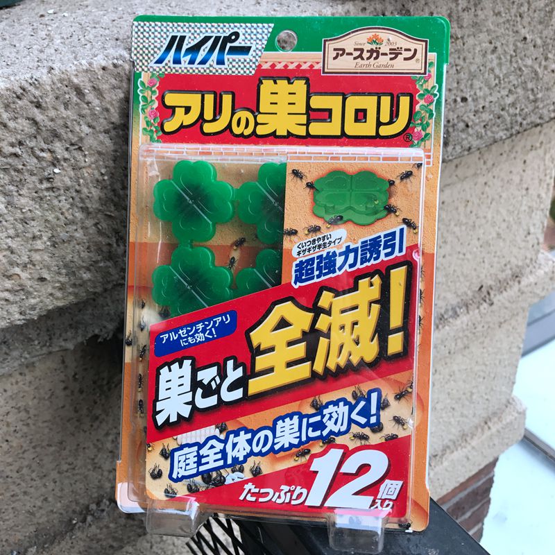 Japan's earth Ant House except ants - seducing safe and omnivorous honey ants are odorless