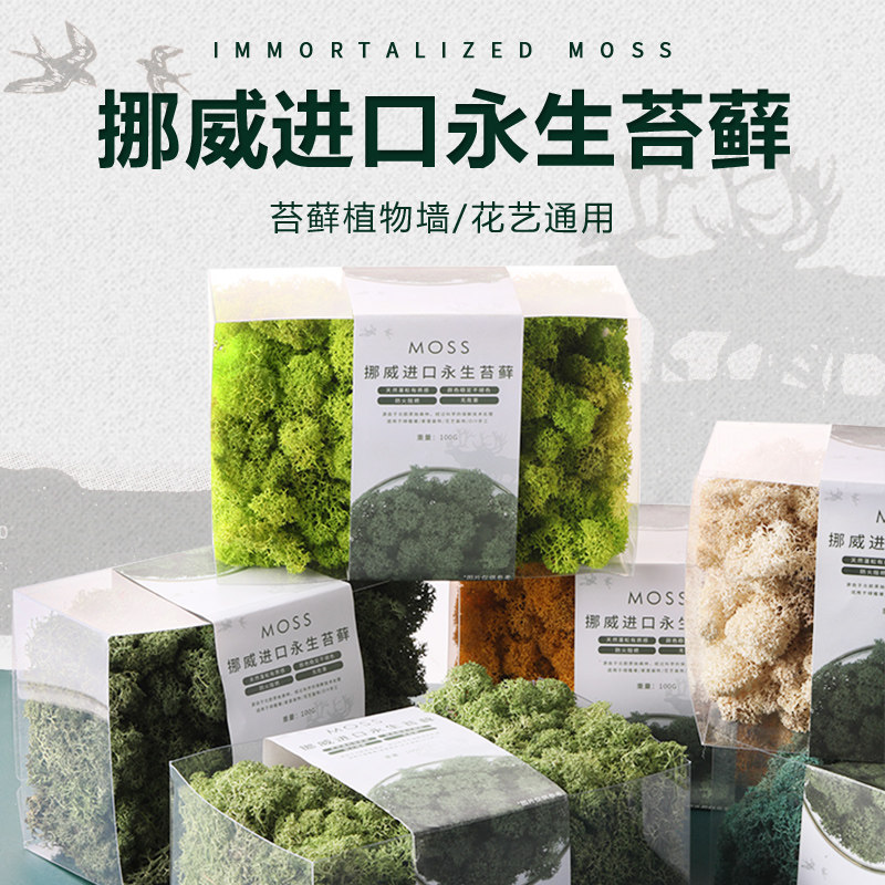 Customized Norwegian imported permanent moss wall simulation plant wall PVC box 100g