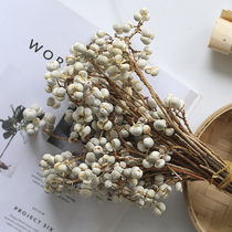 Rosewood homemade pearl barley fruit evergreen flower preservation flower matching material accessories box DIY