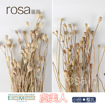 Rosewood dried fruit Sydney Fruit Yonsei Flower Flower Arrangement Flowers Flower Flower Arranging Bottle Shooting Props Japan Import Refreshing Flowers