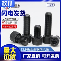 TUZ12 Grade 9 high strength maoai alloy steel cup head screw cylindrical head hexagon socket screw bolt M8M10
