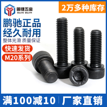 Pengchi 12 9 grade hexagon socket high strength cylindrical head Cup head alloy steel Black long screw screw bolt M20