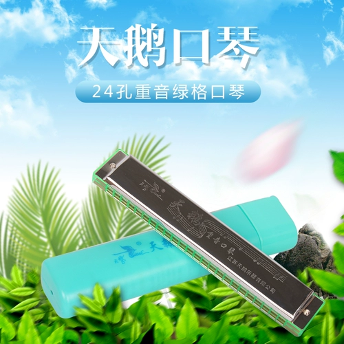天鹅 24 Kong Chung Yinhuzin C Tuqin Piano для взрослых новичка играет в историю детей