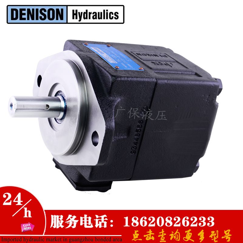 T6C vane pump T6E oil pump DENISON Denison T6E hydraulic marine injection molding machine die casting machine shoe machine