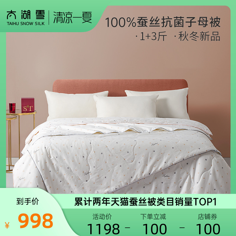 Taihu Snow 100% silk quilted by full cotton antibacterial fabric quilt Spring autumn and winter paragraph by the core mother by the magic grain 1 3 catty