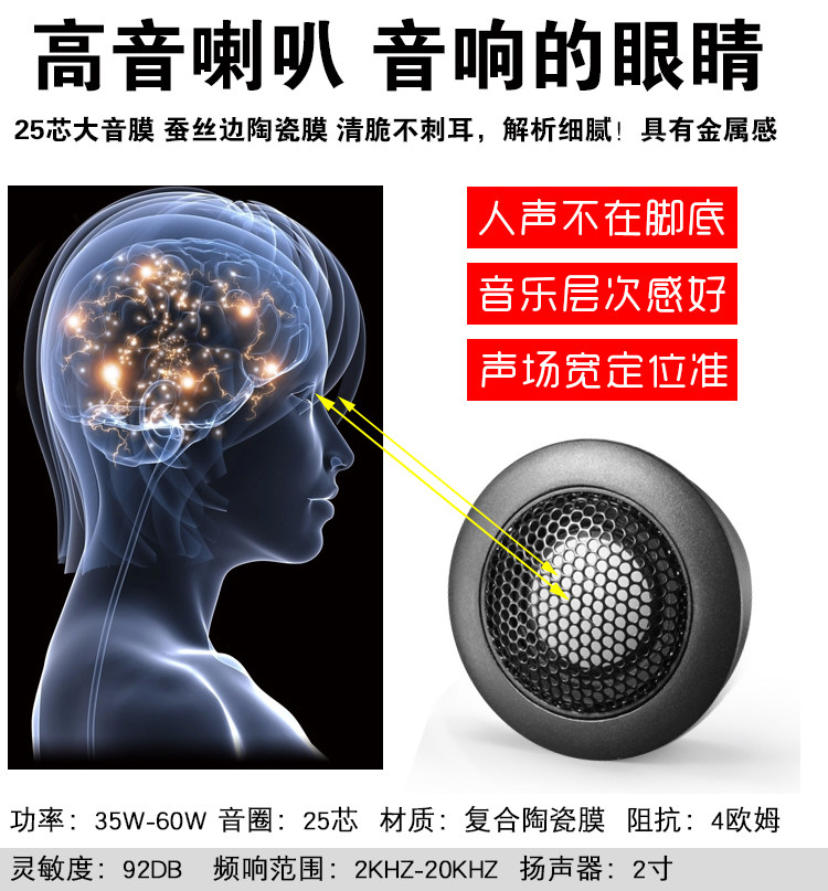 MOLISIO car audio speaker conversion package DSP audio processor tweeter 10 inch subwoofer amplifier