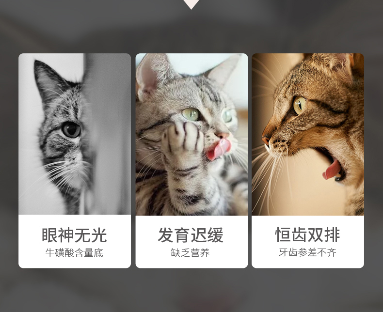 Gudeng Taurine Lysine Complex Hiệu ứng kép Cat Cat Cat Mũi Anime Cat Cat Cat Ammonia 200 Viên trước - Cat / Dog Health bổ sung sữa cho chó uống	